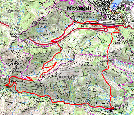Randonnée dans les Vignes